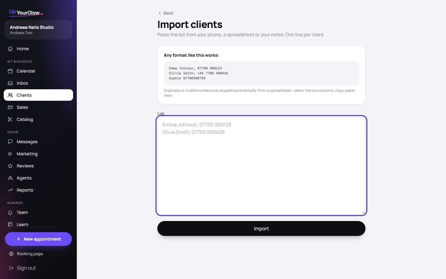 Screenshot: Paste into Import